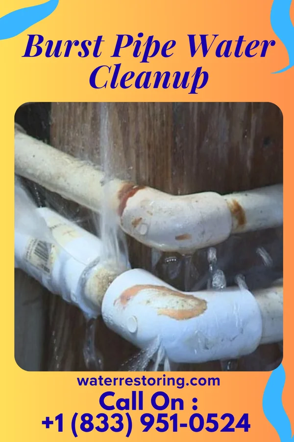 Burst Pipe Water Cleanup in Belpre, OH