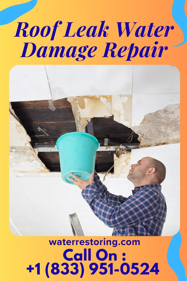 Roof Leak Water Damage Repair in Belpre, OH