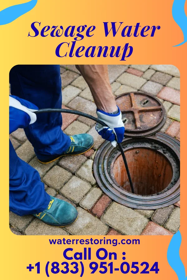 Sewage Water Cleanup in Belpre, OH